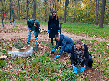 Planting spruce seedlings at Zvezdarska Šuma, Belgrade, November 2022